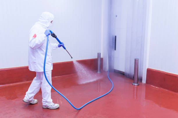 Best Graffiti Removal  in Nanuet, NY